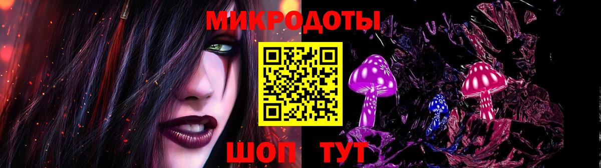 Псилоцибиновые грибы Psilocybe Качканар