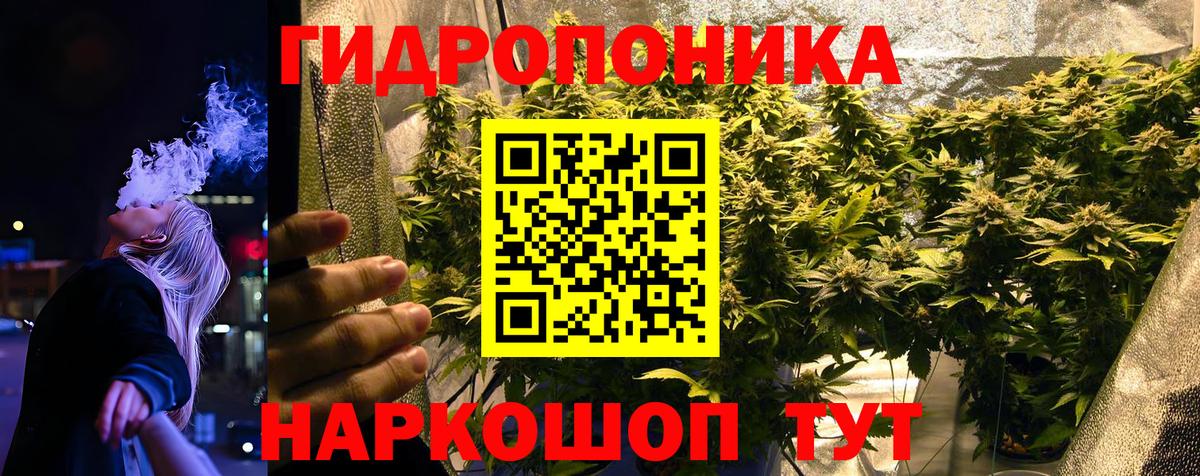 Бошки Шишки Bruce Banner Качканар